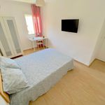 Alquilar 4 dormitorio apartamento en Sevilla