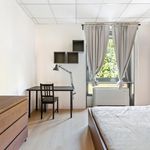 Affitto 8 camera appartamento in Milano