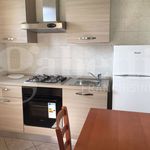 Rent 3 bedroom apartment of 80 m² in Brindisi