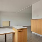 Rent Apartment of 140 m² in Willebroek