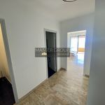 Rent 2 bedroom apartment of 55 m² in Arrondissement of Ajaccio
