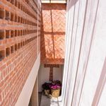Rent a room of 30 m² in San Cristóbal de las Casas