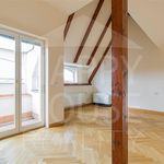 Rent 1 bedroom apartment of 300 m² in Prague