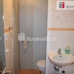 Rent 2 bedroom apartment of 40 m² in Teplice