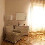 Rent 3 bedroom apartment of 80 m² in Careggi