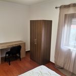 Rent a room of 10 m² in Coimbra