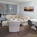 Rent 2 bedroom apartment of 45 m² in Píšťany