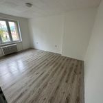Rent 1 bedroom apartment of 53 m² in Klášterec nad Ohří