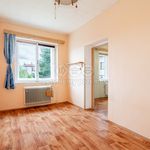 Rent 1 bedroom house in Havlíčkův Brod