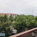 Rent 3 bedroom apartment of 60 m² in Torino