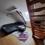 Rent 2 bedroom apartment of 55 m² in Ceské Budejovice