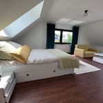 Rent 2 bedroom apartment of 65 m² in Gerolstein