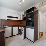Rent 1 bedroom apartment of 28 m² in Rybitví