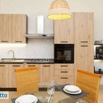 Rent 4 bedroom apartment of 120 m² in Bari