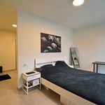 Rent 1 bedroom apartment in Eeklo
