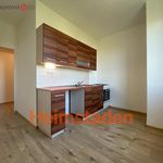 Rent 1 bedroom apartment of 35 m² in Havířov