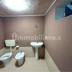 Affitto 3 camera appartamento di 70 m² in Andria