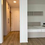 Rent 1 bedroom apartment in Praha 9
