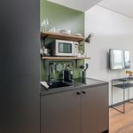Rent 1 bedroom apartment of 25 m² in Freiburg im Breisgau