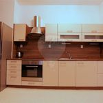 Rent 2 bedroom apartment of 60 m² in Liberec