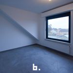 Rent 3 bedroom apartment in Zedelgem