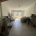 Rent 4 bedroom apartment of 80 m² in Montpellier