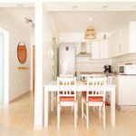 Rent 1 bedroom apartment in Candelaria