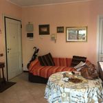 Rent 1 bedroom apartment of 55 m² in Camaiore