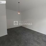 Rent 1 bedroom apartment of 44 m² in Ústí nad Labem