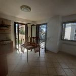 Affitto 1 camera appartamento di 50 m² in Guidonia Montecelio