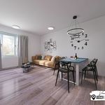 Rent 2 bedroom apartment in Prostějov