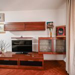 Rent 1 bedroom apartment of 48 m² in Rijeka