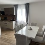 Rent 3 bedroom apartment of 100 m² in Matulji