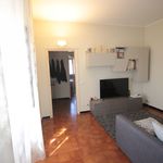 Affitto 2 camera appartamento in Casale Monferrato