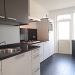 Rent 2 bedroom apartment of 70 m² in Maastricht