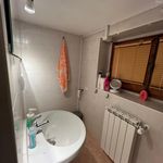 Rent 4 bedroom apartment of 100 m² in Empoli