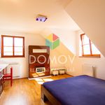 Rent 1 bedroom apartment of 28 m² in Beroun