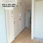Rent 4 bedroom apartment of 70 m² in L'Aquila