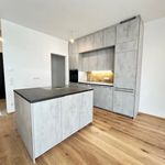 Rent 4 bedroom house of 90 m² in Graz