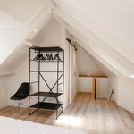 Rent 2 bedroom apartment of 60 m² in 's-Hertogenbosch