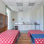 Rent 10 bedroom house in Porto