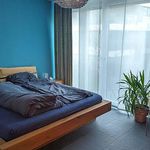 Rent 3 bedroom apartment in Mettmenstetten