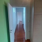 Rent 1 bedroom apartment of 45 m² in Rio