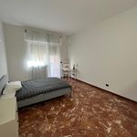 Rent 4 bedroom apartment in Bari