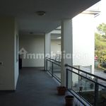 Rent 3 bedroom apartment of 55 m² in Ravenna