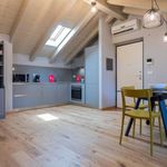 Rent 1 bedroom apartment of 60 m² in Carmagnola