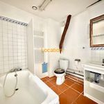 Rent 1 bedroom apartment in Mas-Saintes-Puelles