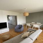  appartement avec 1 chambre(s) en location à Brest