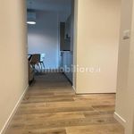 Rent 2 bedroom apartment of 55 m² in Verona
