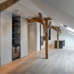 Rent 1 bedroom apartment of 156 m² in Praha